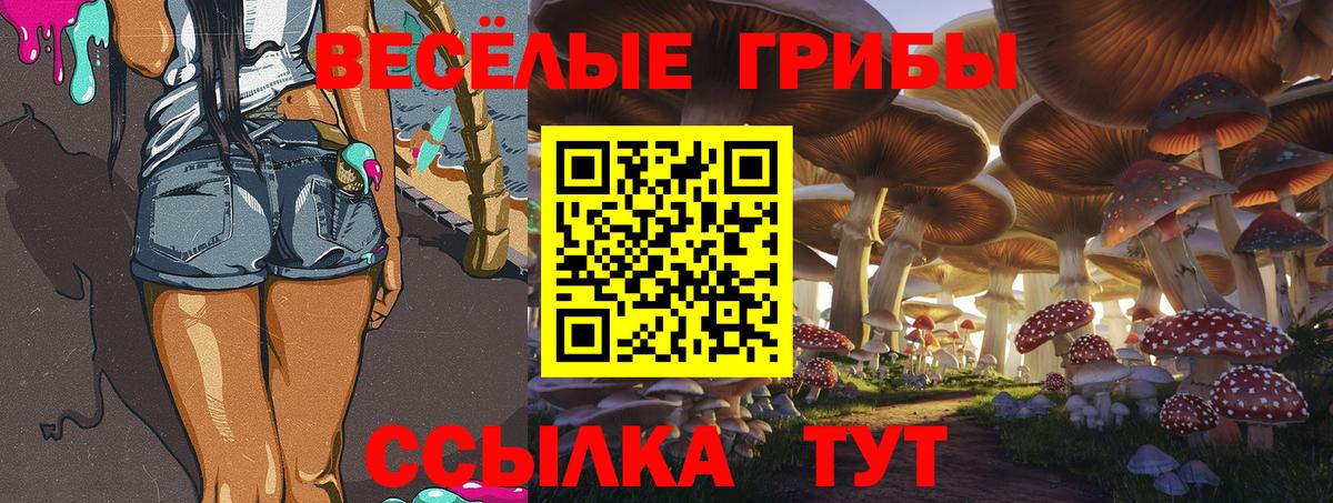 Псилоцибиновые грибы Magic Shrooms  закладка  Десногорск  Вход с VPN 